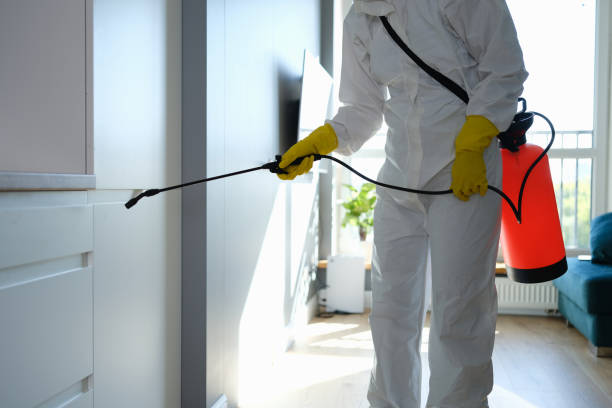 Office Mold Removal Services in Brambleton, VA