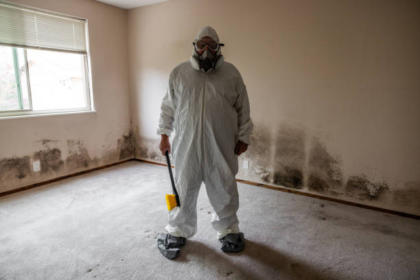 Mold Removal Process in Brambleton, VA